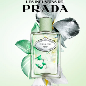 Perfume - PRADA MILANO INFUSION D IRIS EDP FEM 100ML